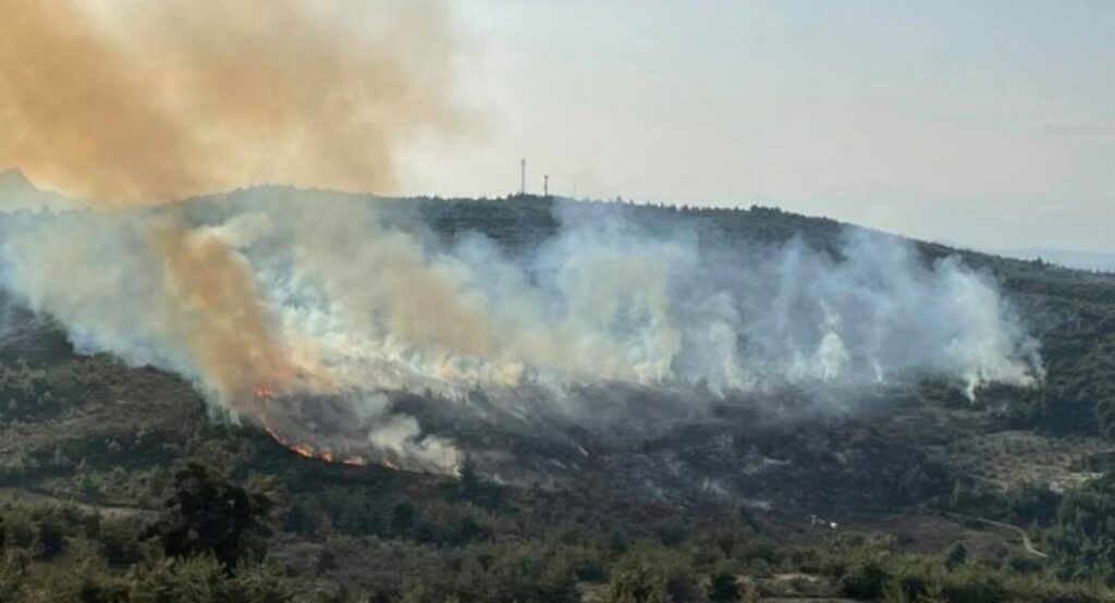 Σήκωσαν canadair και super puma για τη φωτιά στον Κάλαμο - Media