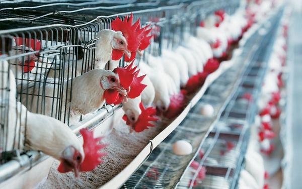 oldphotos134604929234.jpg