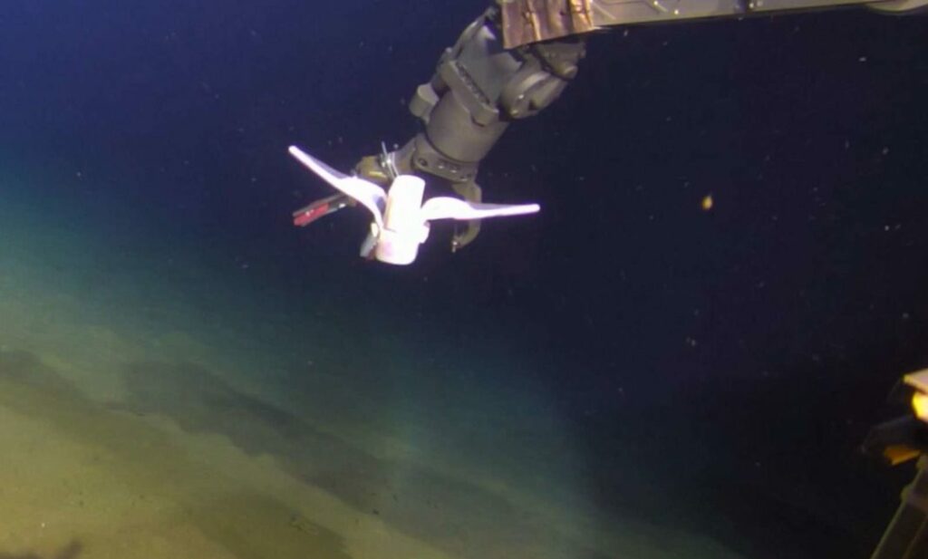 Επιστήμη: Στον βαθύτερο ωκεανό κολύμπησε ρομπότ (Video) - Media