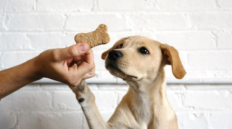 zero-waste-homemade-dog-treats-trash-is-for-tossers-cropped.jpg