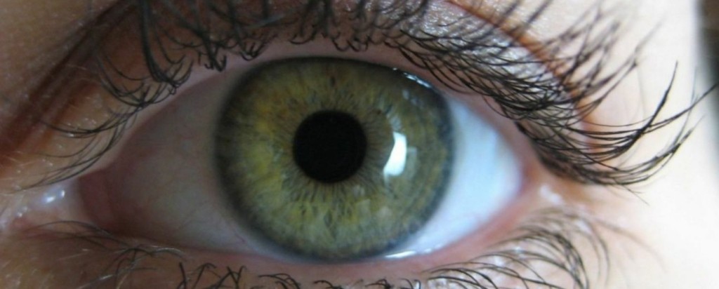 eyes-new (2)