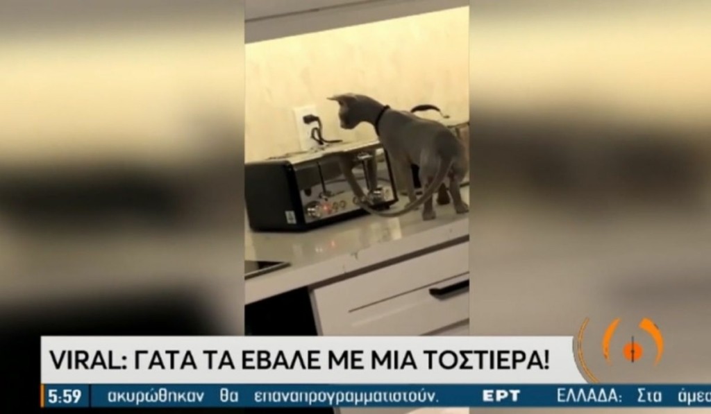 gata