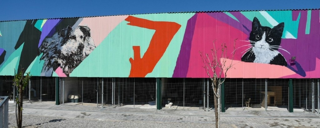 katafygio_dimou_athinaiwn