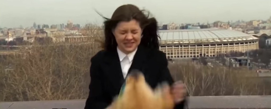 reporterdog-new