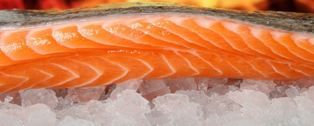 salmon_new
