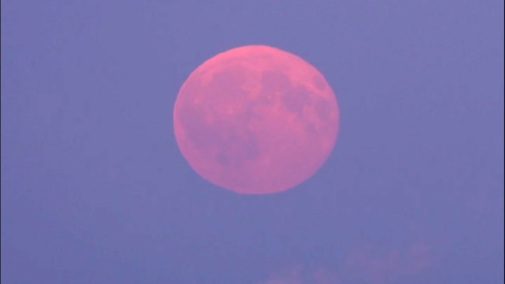 supermoon-pink-moon