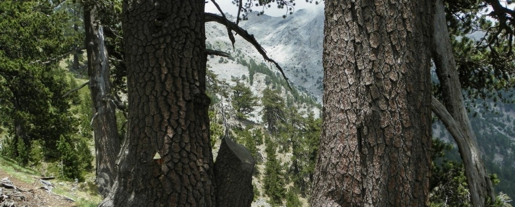 Σχέδιο χωρίς τίτλο (5)