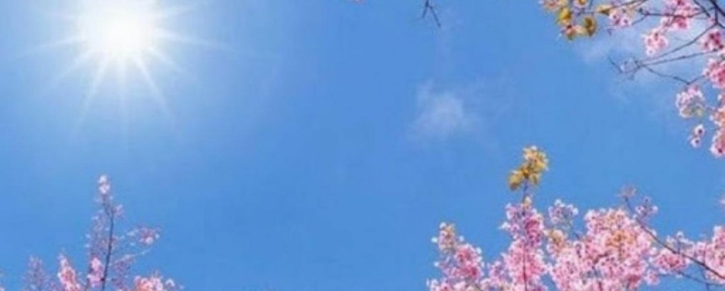Sun_new