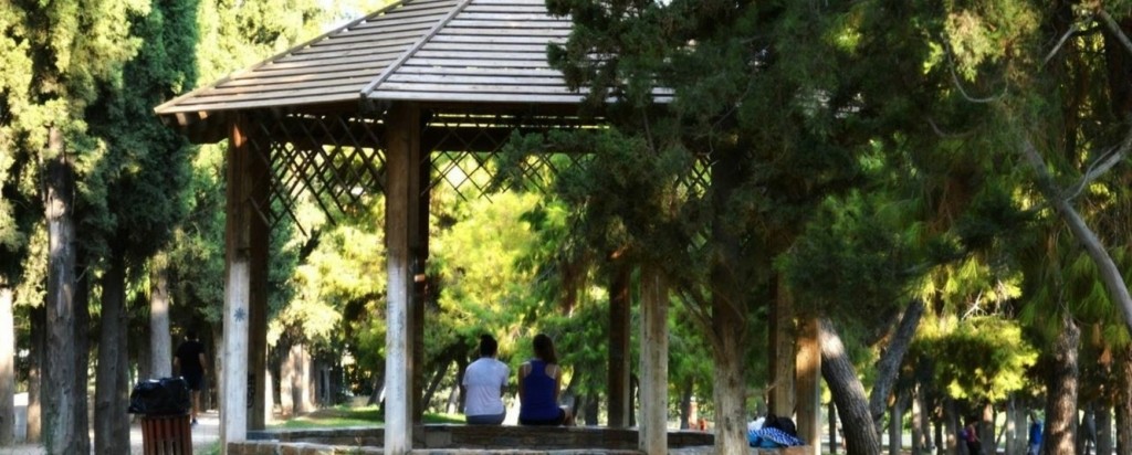 alsos neas smyrnis new