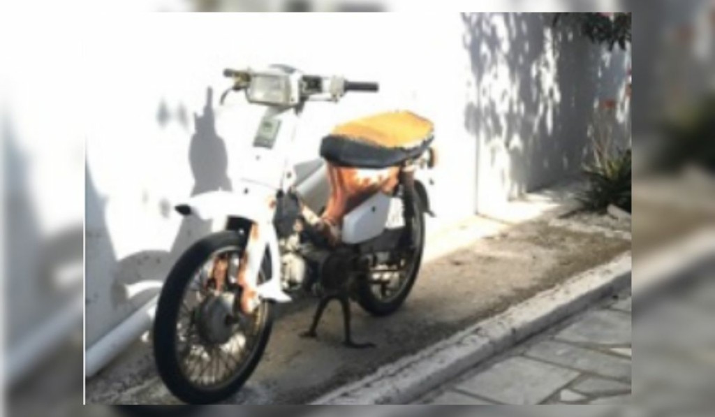 honda-new