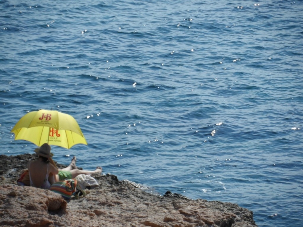 PARALIA