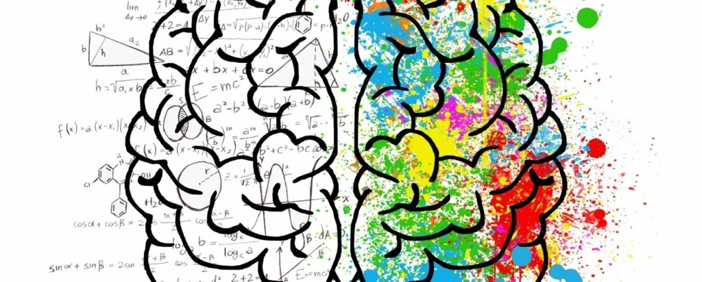 brain