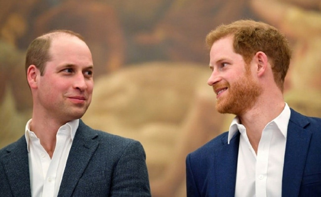 prince-harry-and-prince-william