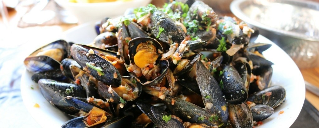 mussels-new