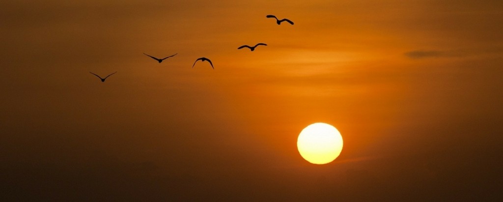 sun_NEW