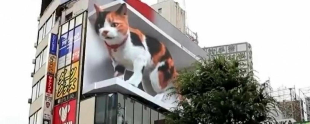 terastia_gata-new