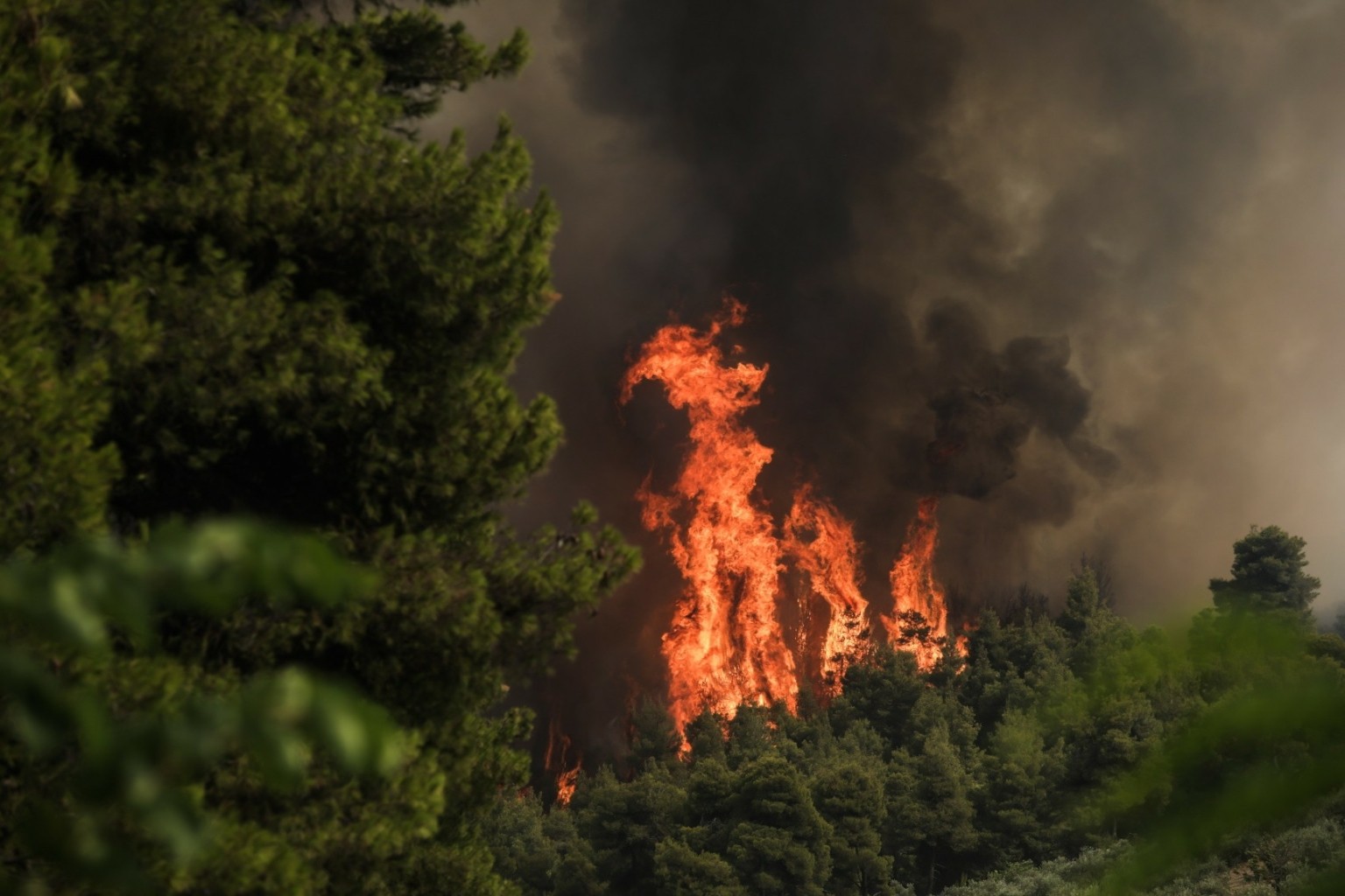 Φωτιά τώρα στην Κερατέα: Πλησιάζει τα πρώτα σπίτια - Επί ...