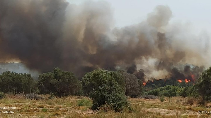 Πηγή φωτογραφίας: rodiaki.gr