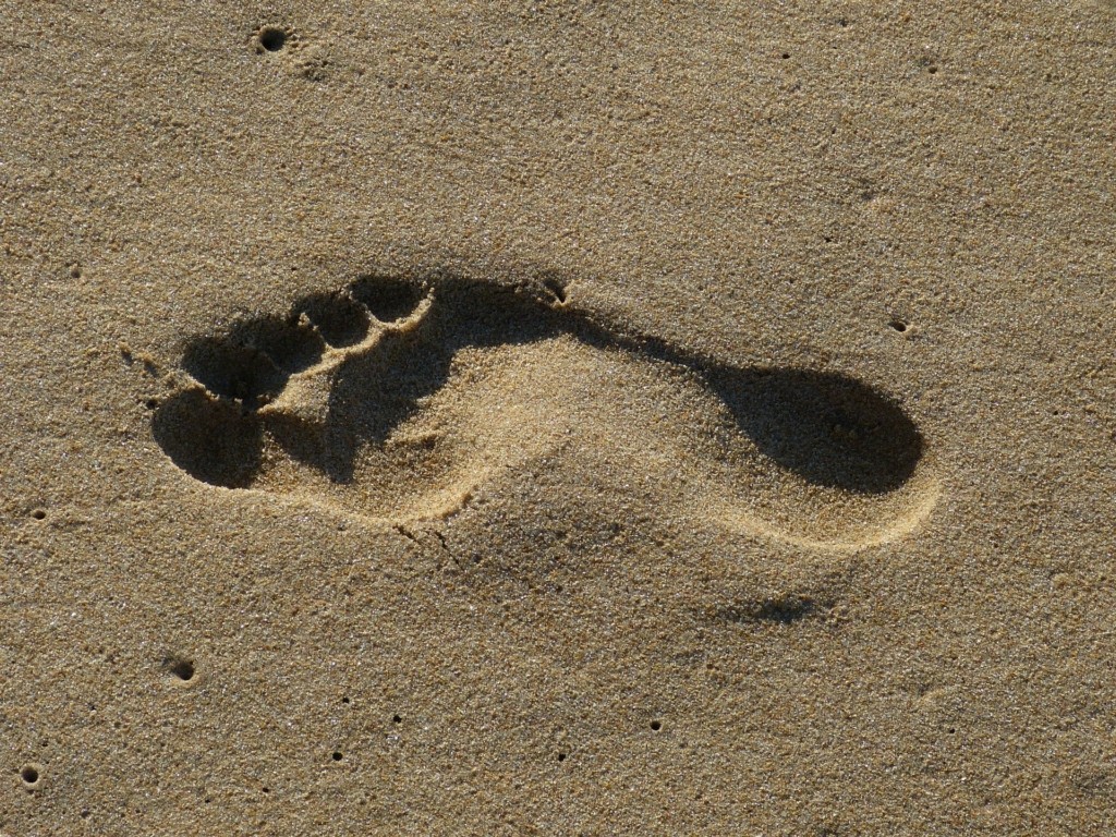 footprint