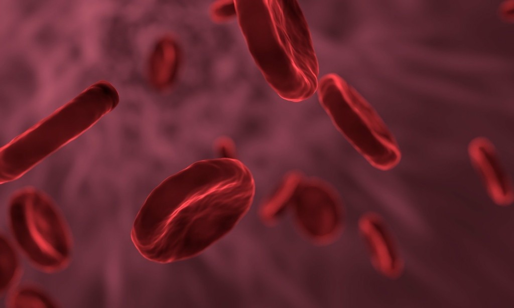 red-blood-cells-g027420397_1920