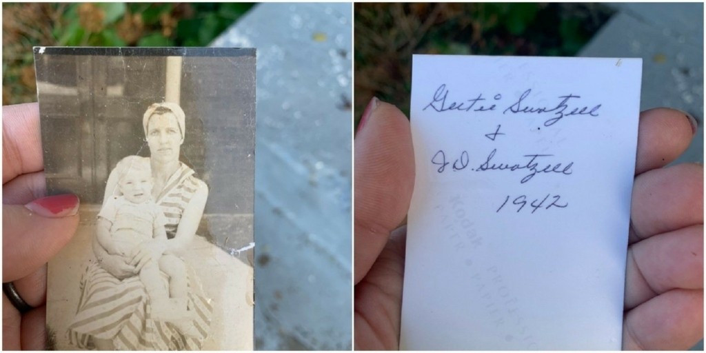 oikogeneiaki-photo-usa-anemostrobilos