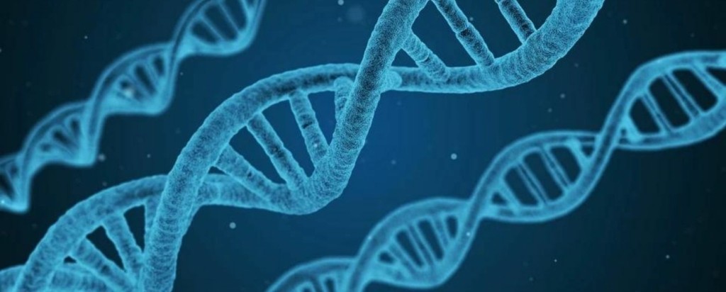 gene-new