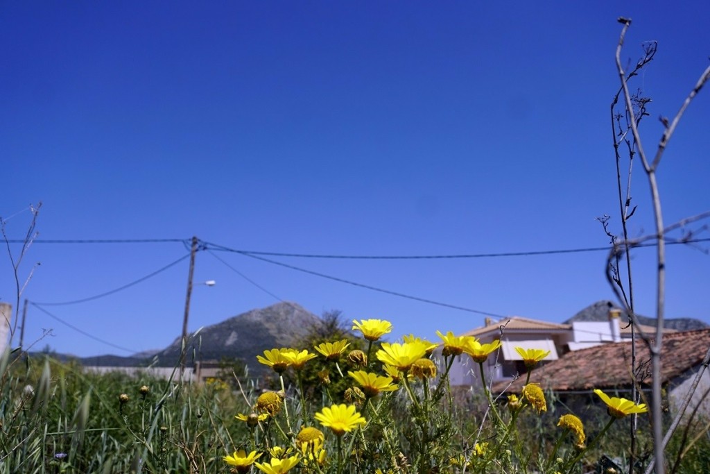 kairos_anixi