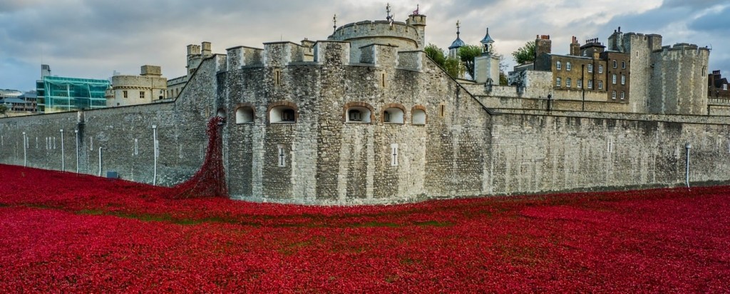 tower_of_london_poppies8