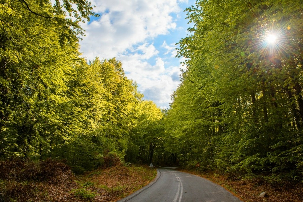 Community Nature