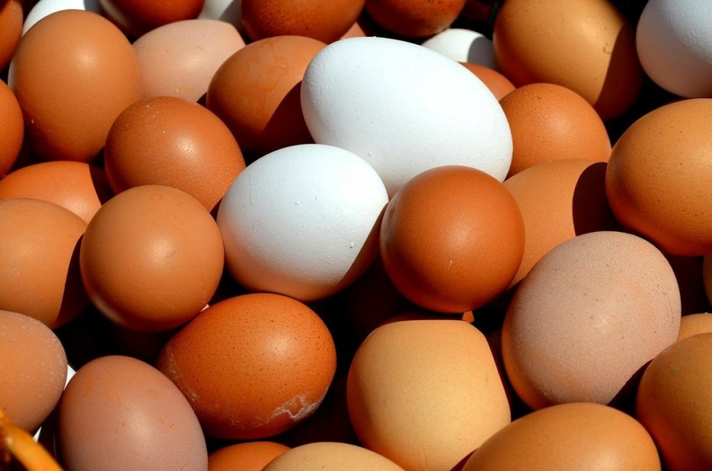 eggs_new