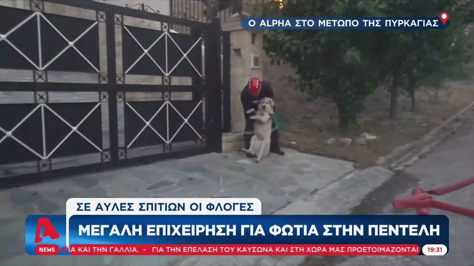 ντραφ