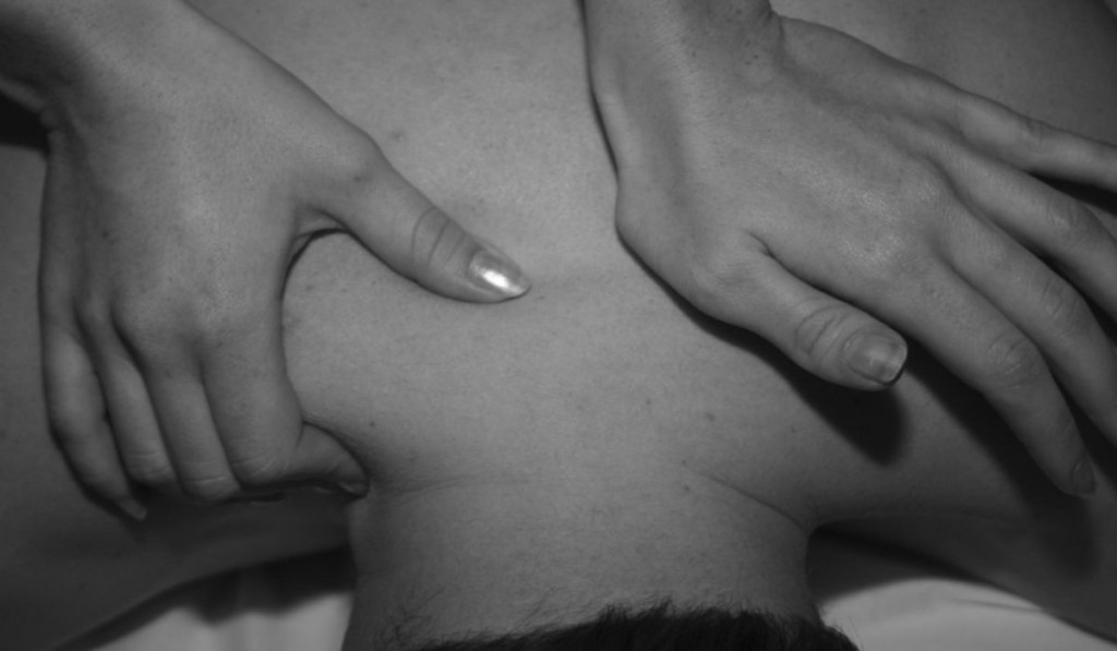 ponos-plati-new