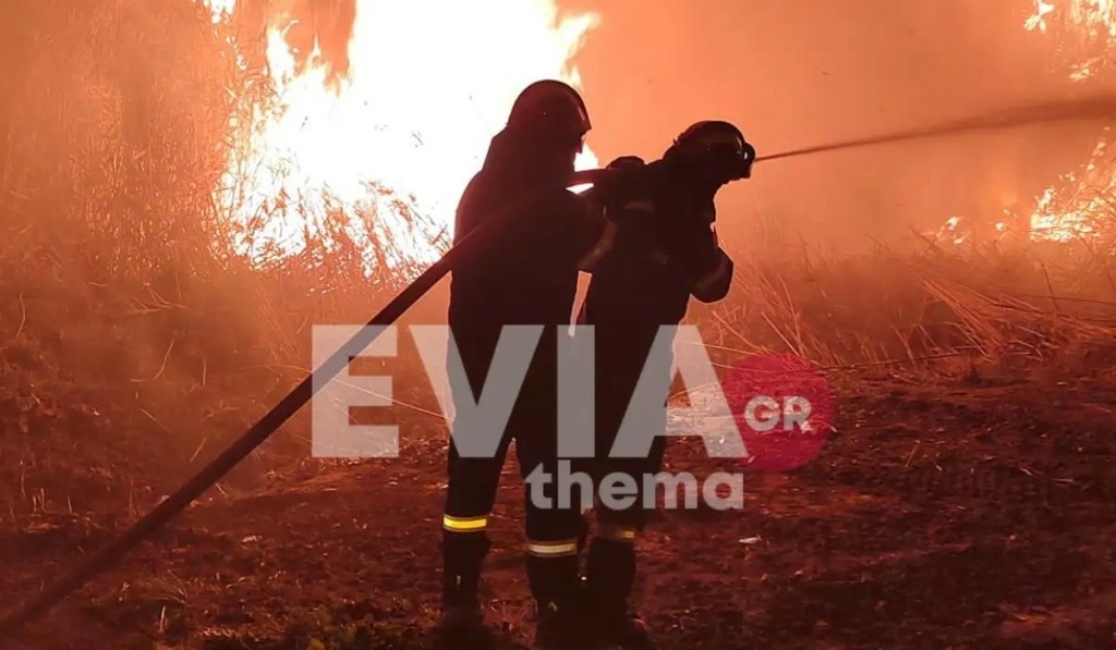 psaxna_evoia_fotia_new