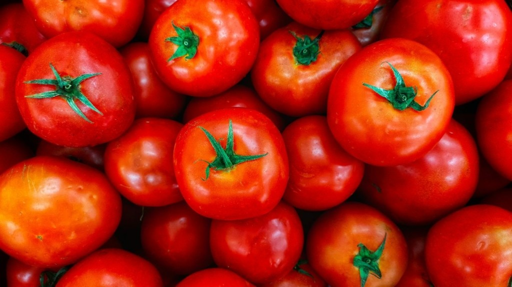 tomatoes