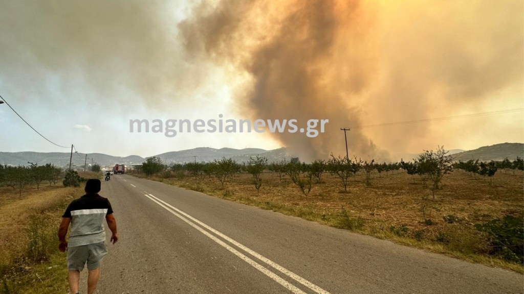 fotia magnisia 887- new