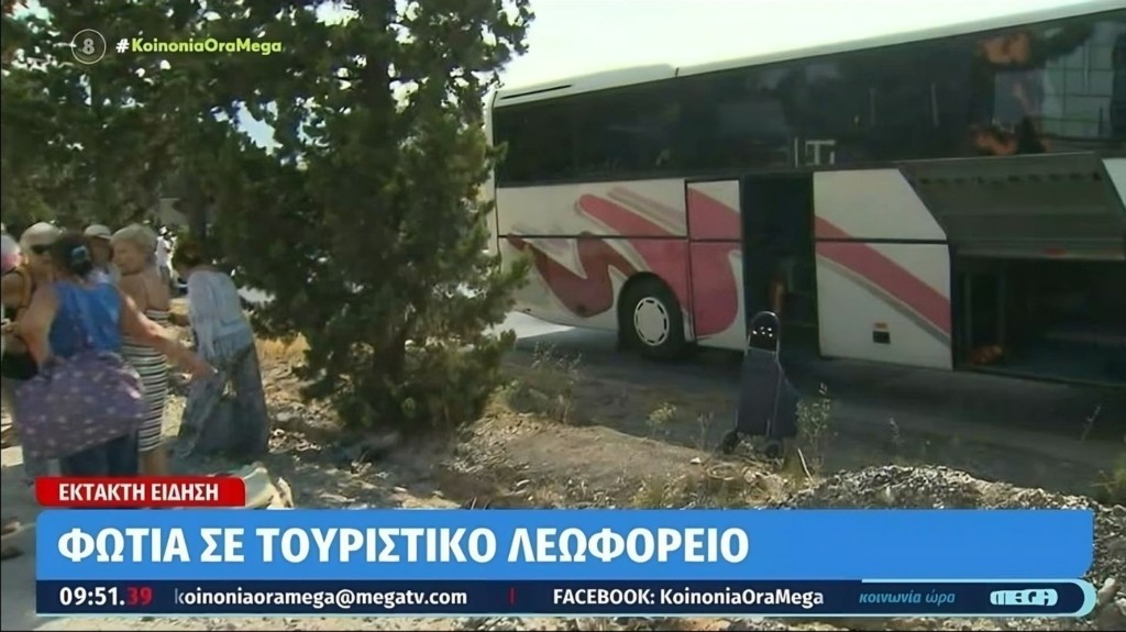 fotia_lewforeio_thessaloniki