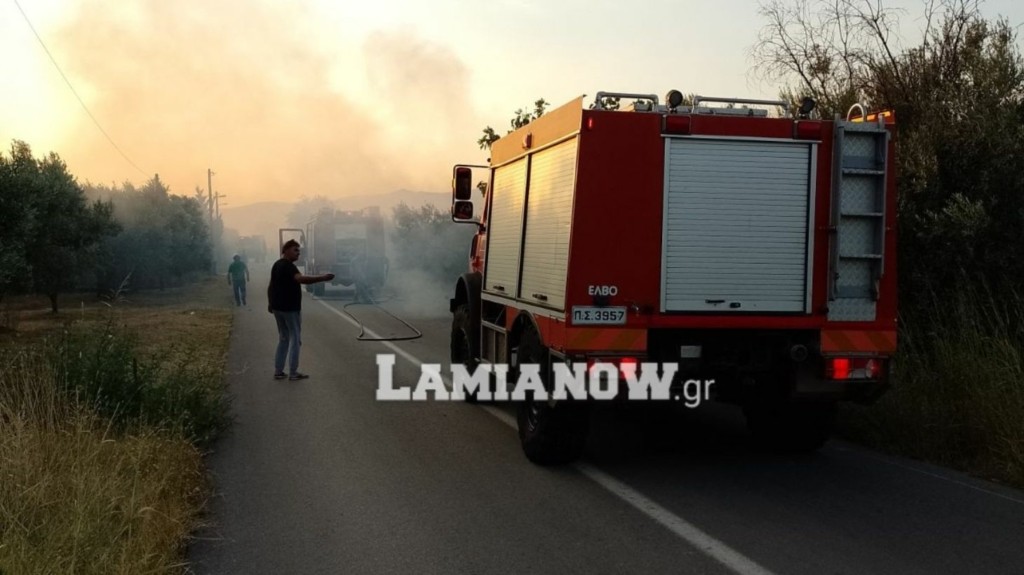 lamia-fotia-new