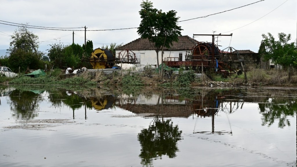 karditsa