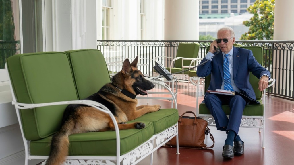 biden dog