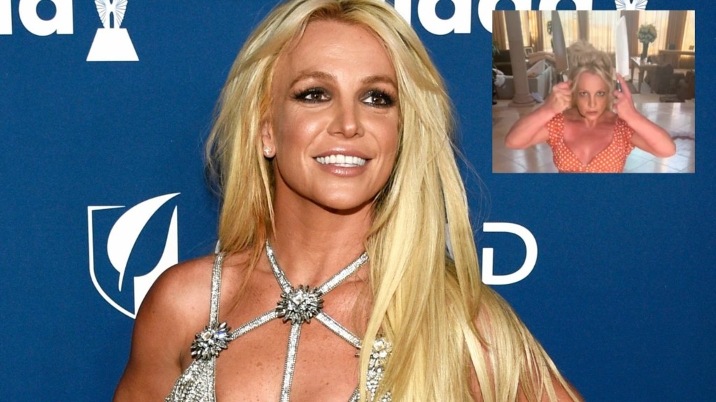 spears-new