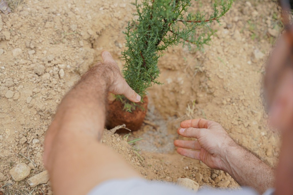 bikos-ch-we4all-1 (1)