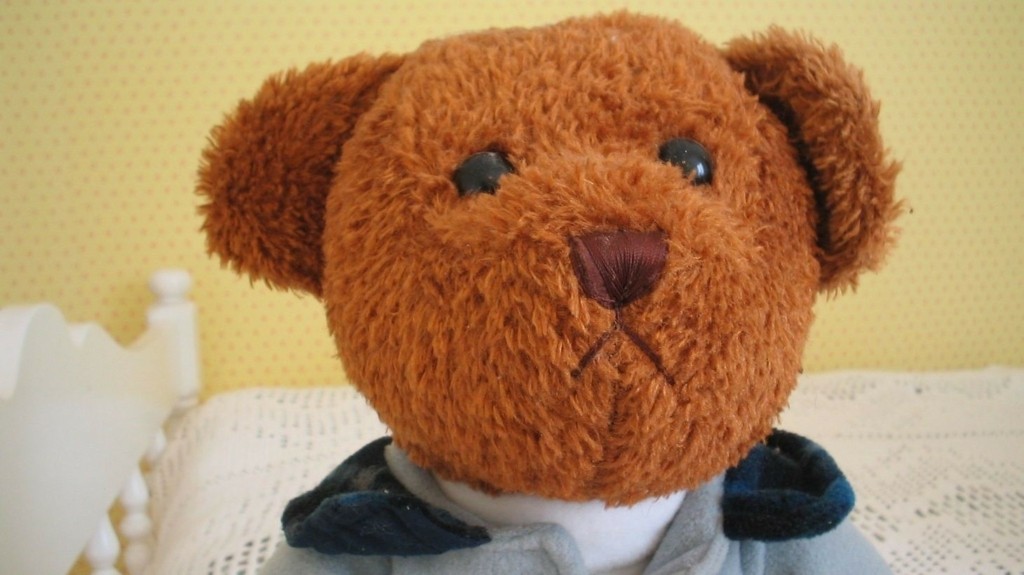 teddy_bear_toy_new