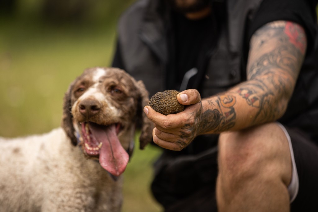 Truffle Hunting at Meteora (2)