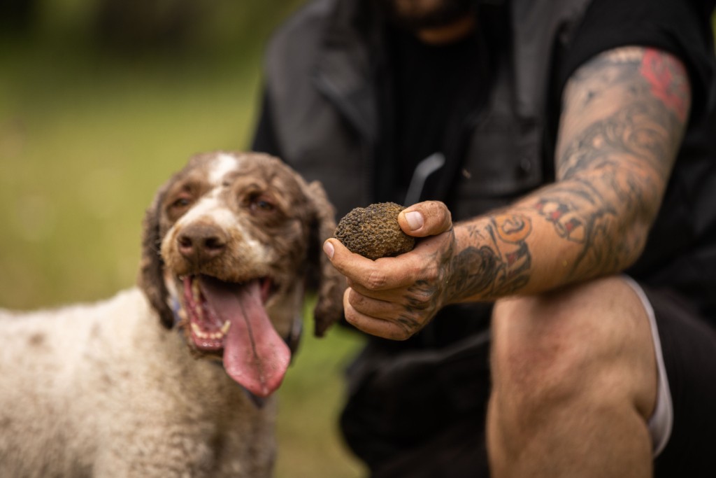 Truffle Hunting at Meteora (2)