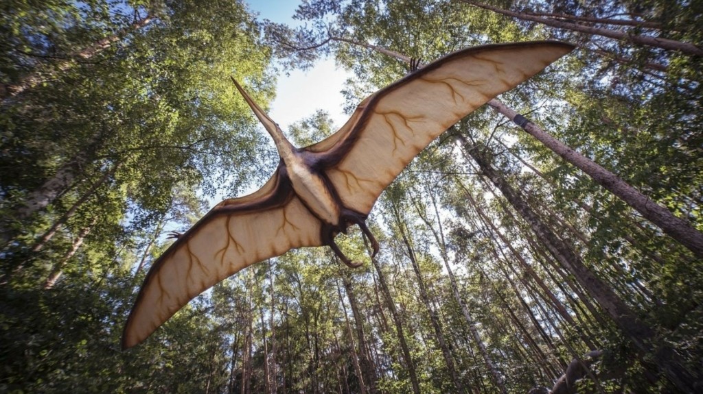 pterosauros-new