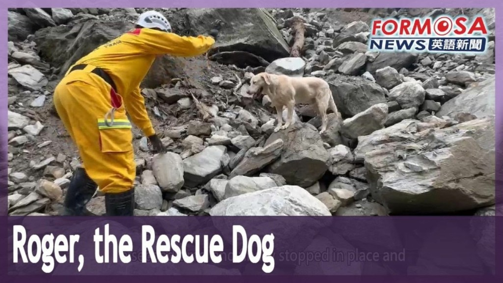 rescue dog new