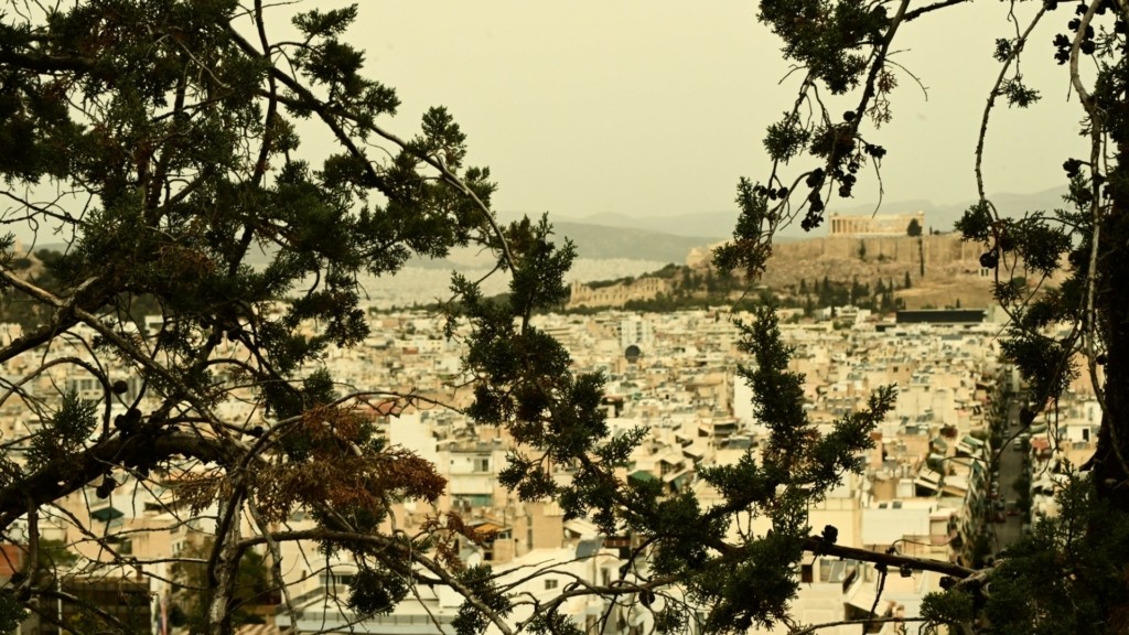 skoni_athens_new_2