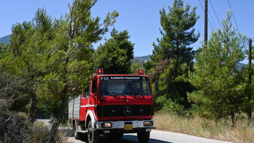 PYRKAGIA NEW