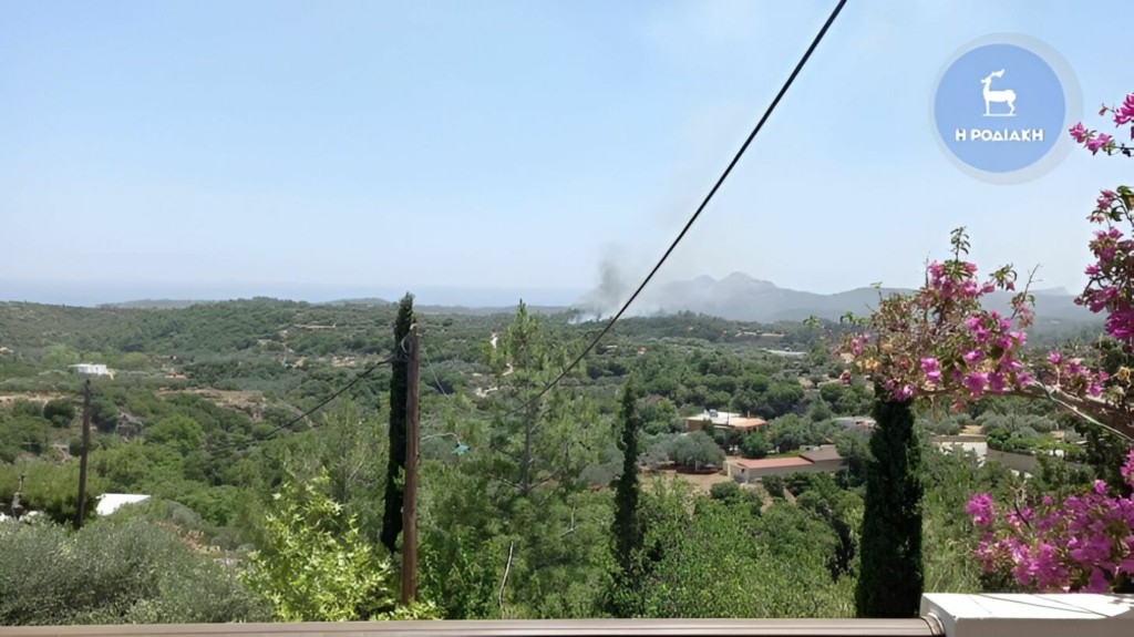 RODOS_FOTIA_PSINTHOS