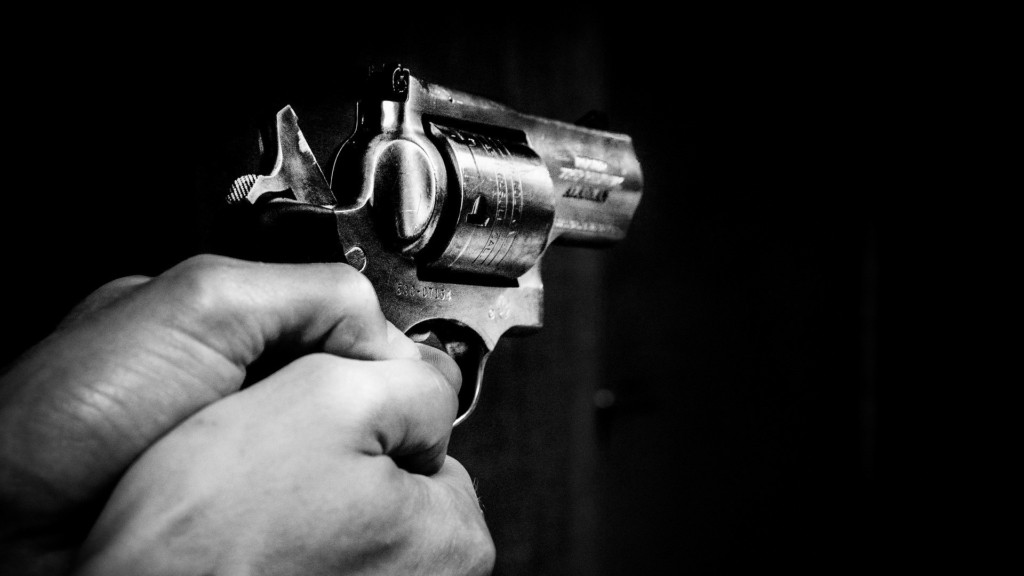 gun_new